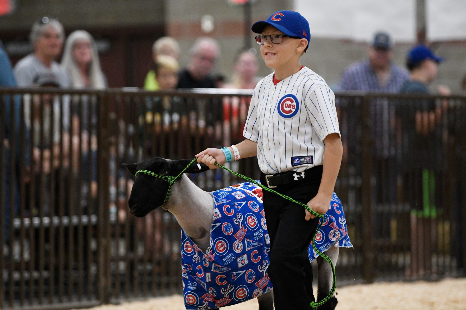Animal Costume Parade